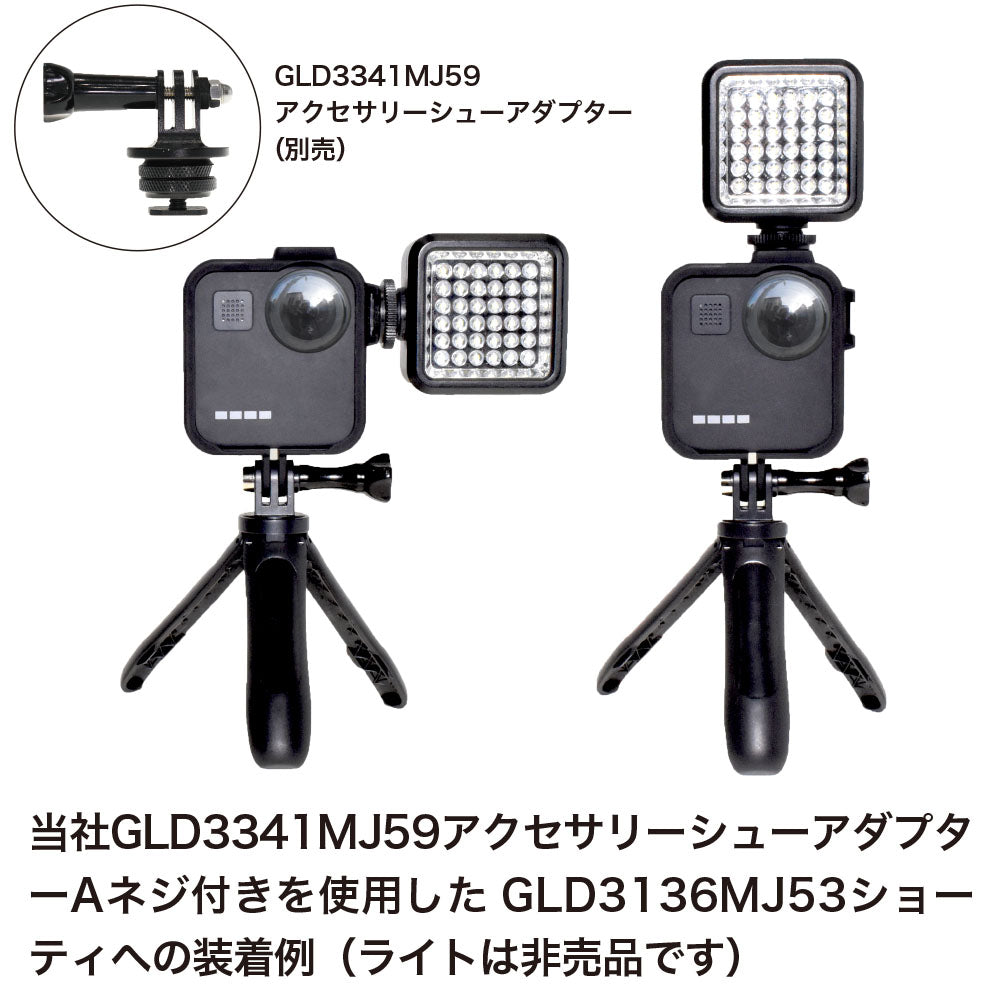 GoPro - GoProMax おまけ付き Amazon | 【GoPro公式限定】 GoPro MAX(ケース付属) + SDカード